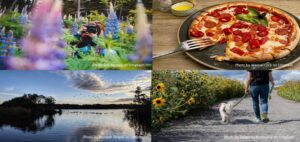 Images of a garden, a pizza, a pond and someone walking with their dog